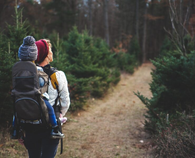 toddler back carrier