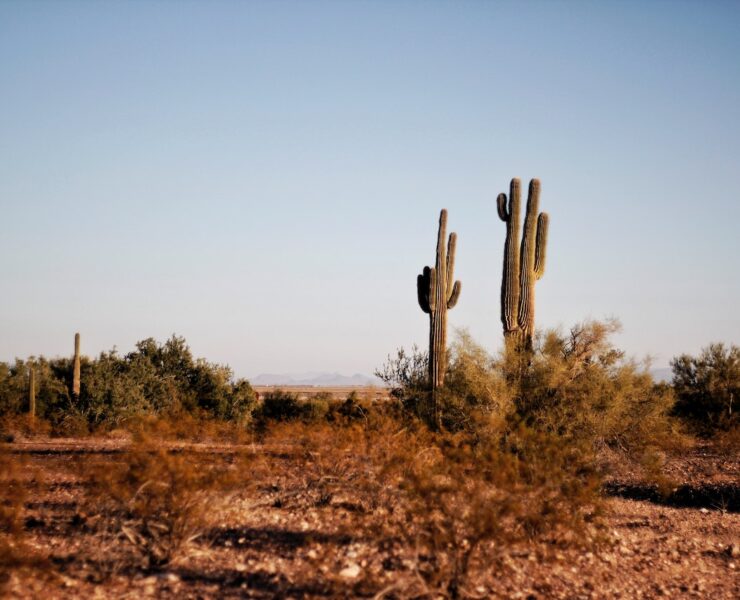 things to do in midland